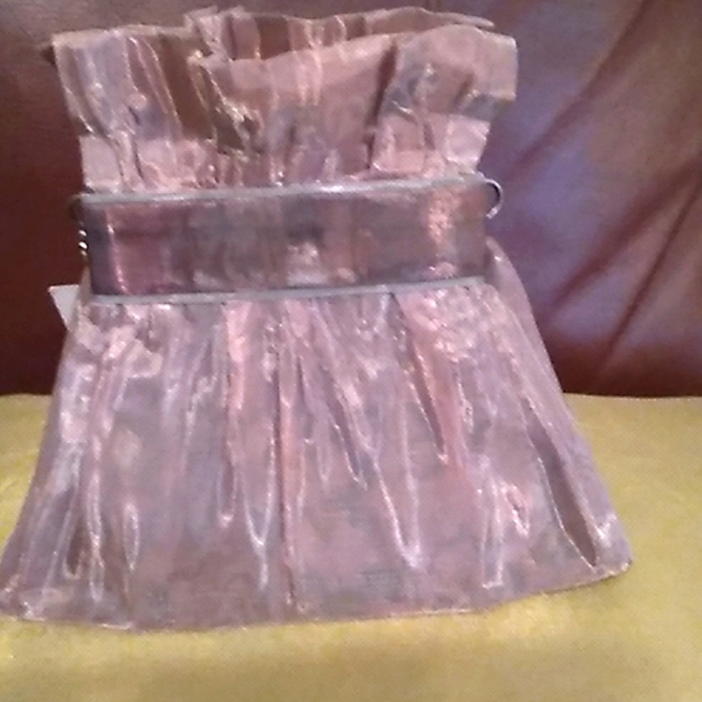 Purse...metal and mesh